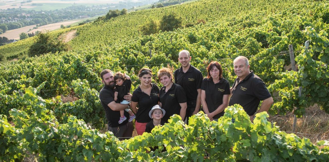 Weinschloesschen Im Weingut Roos Hotel Ilbesheim Exterior photo