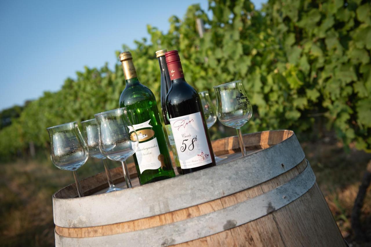 Weinschloesschen Im Weingut Roos Hotel Ilbesheim Exterior photo